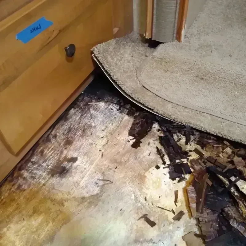 Best Wood Floor Water Damage Service in Elizabeth, NJ